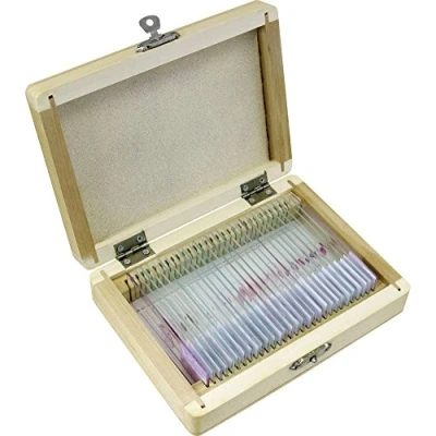 Afbeelding van Bresser Microscoop preparaten 30 stuks: Dieren