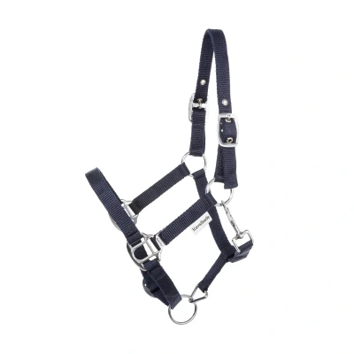 Image de Kavalkade Licol Shorty Marin Shetland