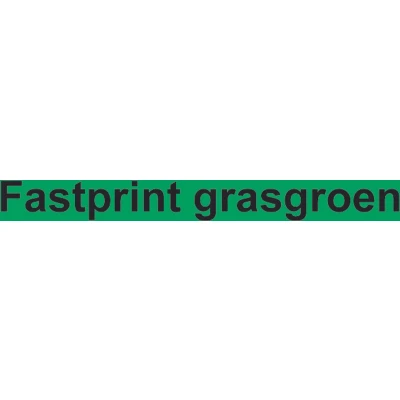 Afbeelding van Kopieerpapier Fastprint A4 120gr grasgroen 250vel