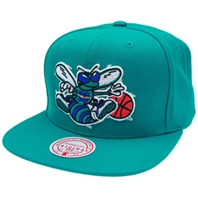 Afbeelding van Mitchell &amp; Ness NBA/HWC Team Ground 2.0 Snapback, Charlotée HORNETS Teal