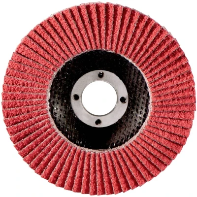 Afbeelding van Metabo 626170000 Lamellenschijf Boordiameter 22.23 mm 10 stuk(s)