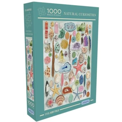 Afbeelding van Gibsons The Art File: Natural Curiosities (1000).
