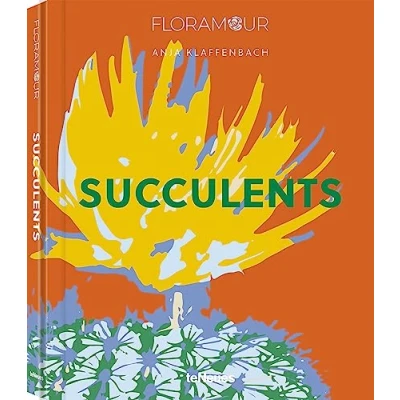 Afbeelding van Floramour Succulents