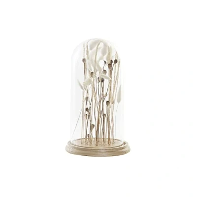Afbeelding van Decoratieve figuren DKD Home Decor Kristal (18 x 18 32 cm)