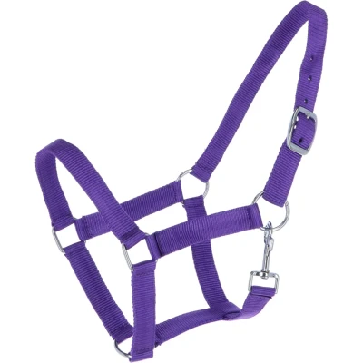 Afbeelding van HB Nylon Halster Miniveulen Paars