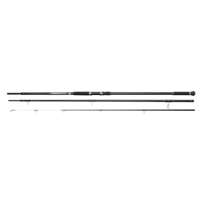 Afbeelding van Penn Prevail III LE Surf Strandhengel 4.2m 100 250g (3 delig)