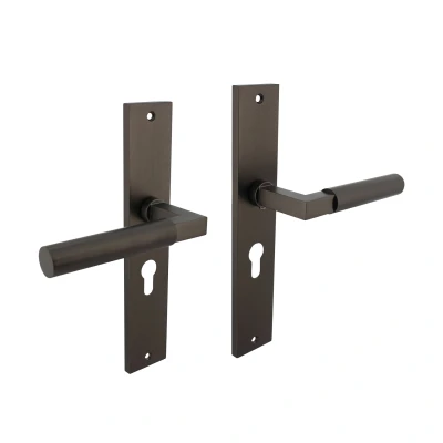 Afbeelding van Intersteel Deurkruk Bau Stil op schild 245x45 mm profielcilindergat 55 antracietgrijs