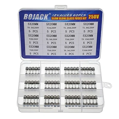 Afbeelding van BOJACK 12 waarden 60 stuks glaszekeringen, 5 x 20 mm, 250 V, T0,5 A,1A 1,25 A, 1,6 2A, 2,5 3A. 3.15 4 6,3 10 verpakking in transparante kunststof doos
