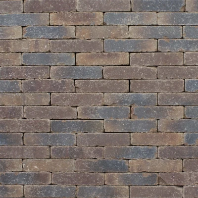 Afbeelding van Clayville Leuven WF 200x48x60 mm Bezand Getrommeld