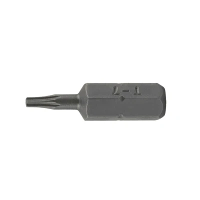 Afbeelding van SW Stahl TBM/4 T20 Schroefbit Chroom vanadium staal Torx