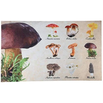 Afbeelding van Esschert Design Deurmat 45,5 X 75 Cm Polyester/pvc Lichtbruin