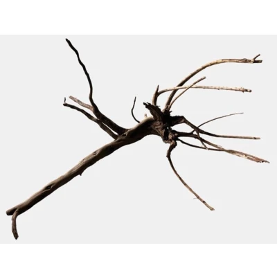 Afbeelding van Black spiderwood x large Aquadistri