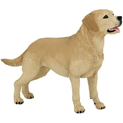 Afbeelding van Papo Labrador