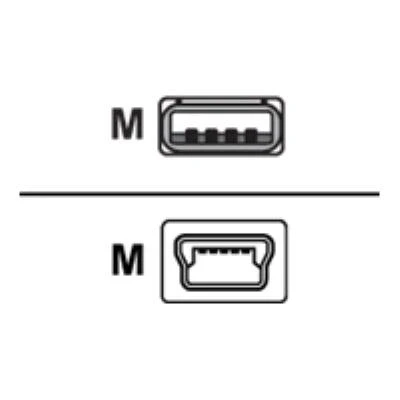 Image de Sharkoon Câble Usb À 4 Broches, Type A (M) Mini B 3 M ( / 2.0 ) Noir