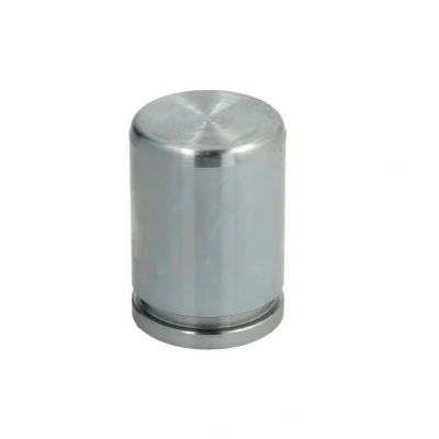 Afbeelding van AUTOFREN SEINSA D025550 Zuiger, remklauw 34 Achteras LUCAS