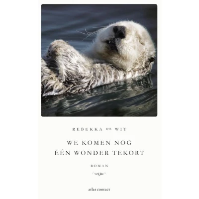 Afbeelding van We komen nog één wonder tekort