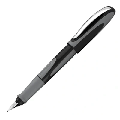 Afbeelding van Schneider S 168407 Vulpen Ray L Onyx