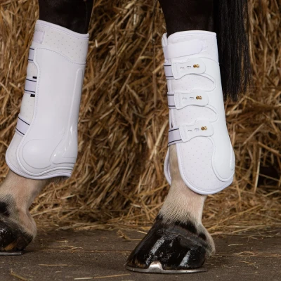 Image de Harry&#039;s Horse Guêtres tendineuses Grand Prix Arrière Blanc Full Derrière