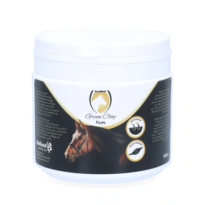 Image de Excellent Argile Verte Pâte 500g