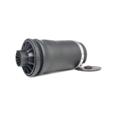 Afbeelding van Luchtvering, chassis BILSTEIN 40 247687