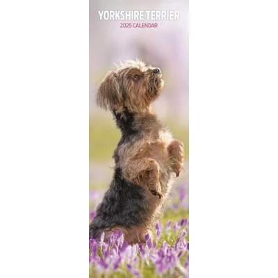 Afbeelding van Kalender eind 2025 Yorkshire Terrier