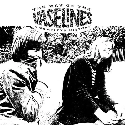 Afbeelding van Vaselines Way of the (2 LPs)