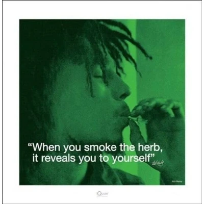 Afbeelding van Pyramid Poster Bob Marley Iquote Herb 40 X Cm Multicolor