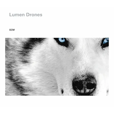 Afbeelding van Nils Okland, Per Steinar Lie, Orjan Haaland Lumen Drones (CD)