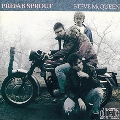 Afbeelding van Steve Mcqueen