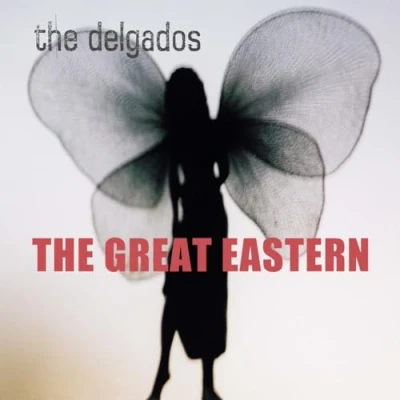 Afbeelding van Delgados The Great Eastern (LP)