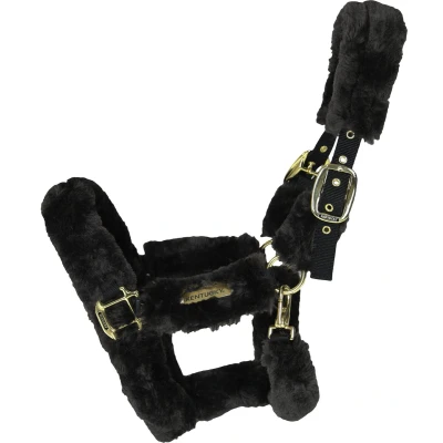 Afbeelding van Kentucky Horsewear Halster Bont Transport Zwart Cob