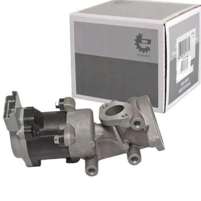 Afbeelding van ESEN SKV 14SKV073 EGR klep Electrisch