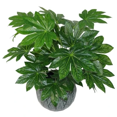 Afbeelding van Leaf Kunstblad, Japanse Aralia, 60 cm, kunststof pot, zwart