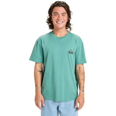 Afbeelding van Quiksilver Ev Mini Logo Ss T shirt voor heren (1 stuk)