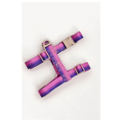 Afbeelding van Dogguo Gradient Harnas Paars&amp;Roze Hondentuig Xs Kleinste Honden