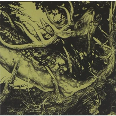 Afbeelding van Third Eye Foundation The Dark (CD)
