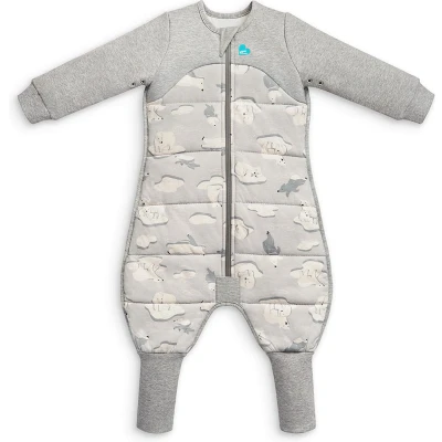 Afbeelding van Love To Dream™ Slaappak Pyjama en dekbed in 1 Peuter 24 36 mnd Winter White