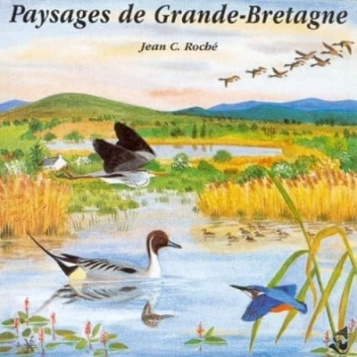 Afbeelding van Various Artists Paysages De Grande Bretagne (CD)