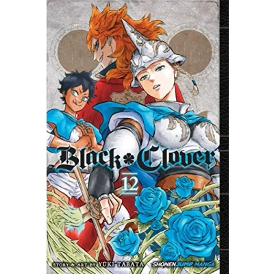Afbeelding van Black Clover, Vol. 12