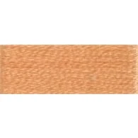 Afbeelding van DMC Mouline 3825 borduurgaren