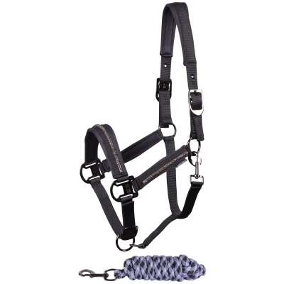 Image de Harry&#039;s Horse Ensemble Licol Valli AsphaltVendu par Agradi