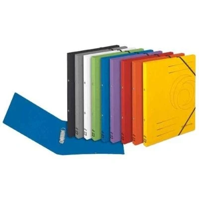 Image de Classeur à anneaux easyorga, a4, colorspan carton, violet herlitz 11255452