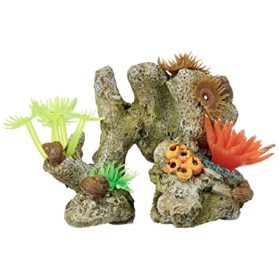 Afbeelding van Nobby aqua deco koralen 11 x 7 8,5 cm 1 ST