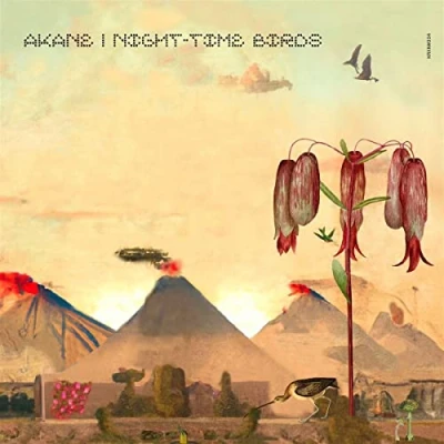 Afbeelding van Akane Night Time Birds (LP)