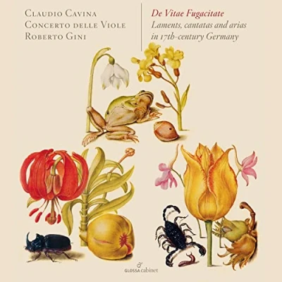 Afbeelding van Claudio Cavina, Concerto Delle Viole De Vitae Fugacitate (CD)