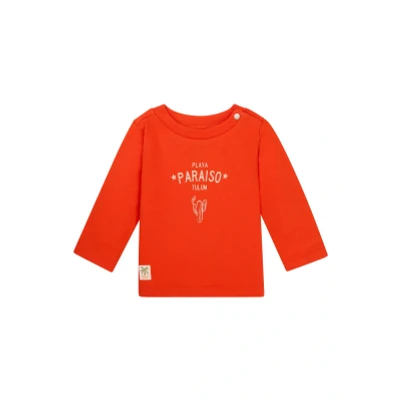 Afbeelding van Noppies Longsleeve voor kinderen, Maat: 80, Spicy orange