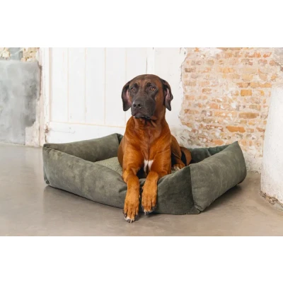 Afbeelding van Designed by Lotte Ligbed Yndis Groen 95 x 80 25 cm