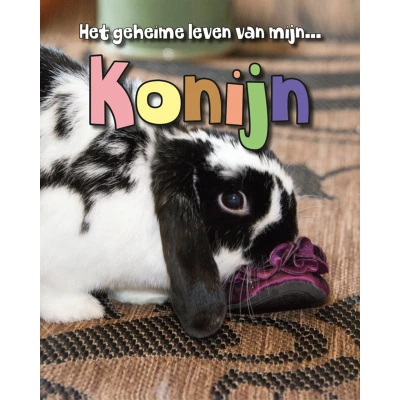 Afbeelding van Konijn