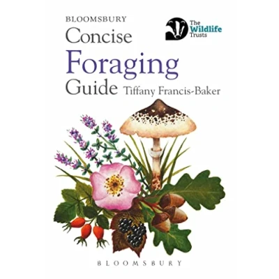 Afbeelding van Concise Guides Foraging Guide