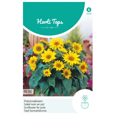 Afbeelding van Helianthus Annuus Pacino, Lage Potzonnebloem Hortitops
